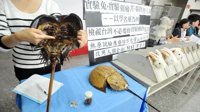 Uji laboratorium kepiting tapal kuda