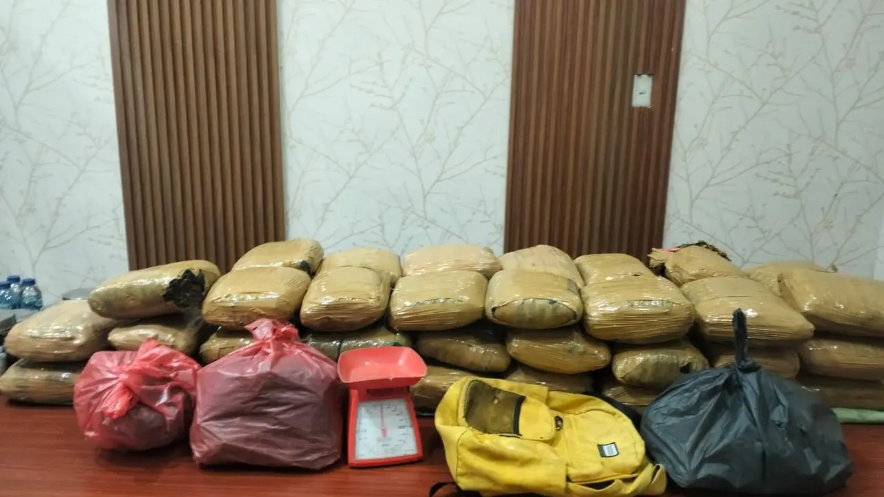 Direktorat Tindak Pidana (Dittipid) Narkoba Bareskrim Polri menggagalkan upaya peredaran narkoba jenis ganja seberat 47 kilogram di Sumatera Utara (Istimewa)