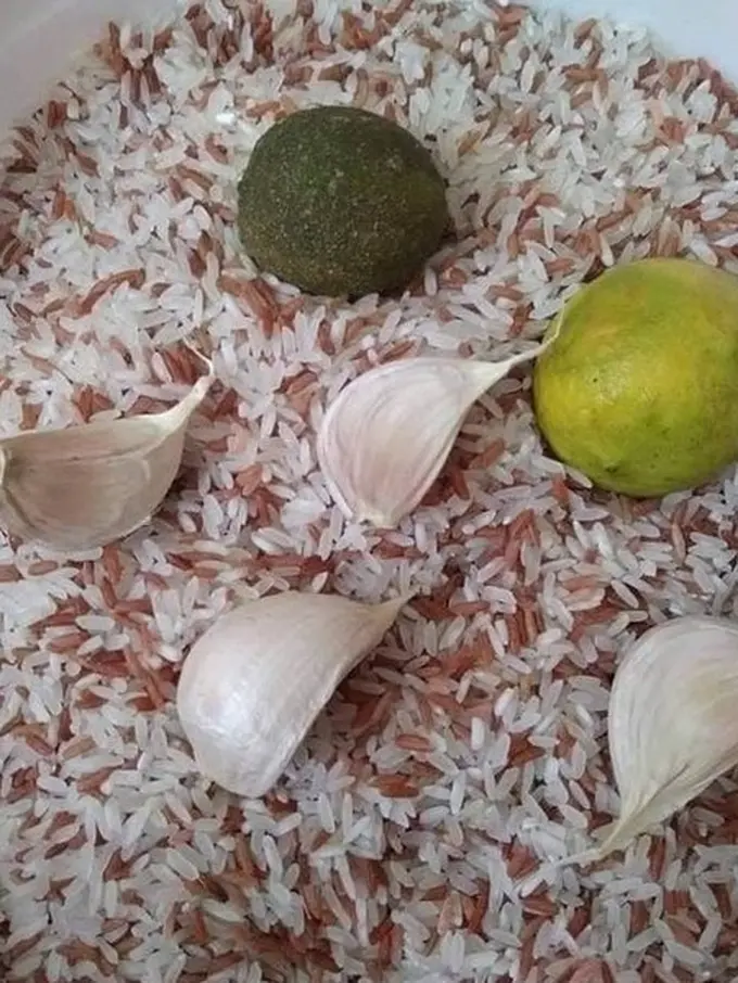 Tanpa Cabai atau Cuka, Begini Cara Hilangkan Kutu pada Beras Secara Efektif