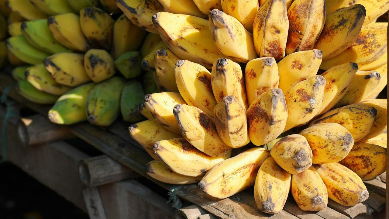 Manfaat Kesehatan Pisang Matang dan Mentah: Ini Perbedaannya