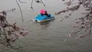 Warga naik perahu menikmati keindahan bunga sakura yang bersemi di Washington DC, AS (26/3). Bunga Sakura merupakan satu keunggulan negara Jepang. (AFP Photo / Zach Gibson)