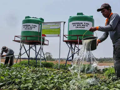 Petani mendapatkan pasokan air untuk irigasi sawah melalui pengelolaan integrated farming berbasis energi baru dan terbarukan di area persawahan Desa Energi Berdikari, Desa Kalijaran, Kecamatan Maos, Cilacap, Jawa Tengah, Kamis (2/11/2023). (Liputan6.com/Angga Yuniar)