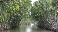 Kali Tanyep, Dukuh Sigempol, Randusanga Kulon, Brebes menjadi pintu gerbang perjalanan menuju Pulau Hantu. (Foto: Jatengprov.go.id)