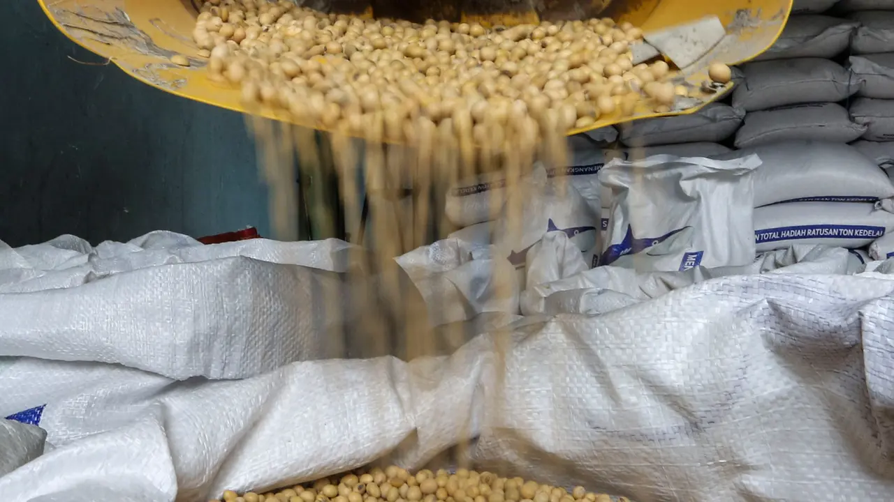 Harga Kedelai Diperkirakan Masih Tinggi