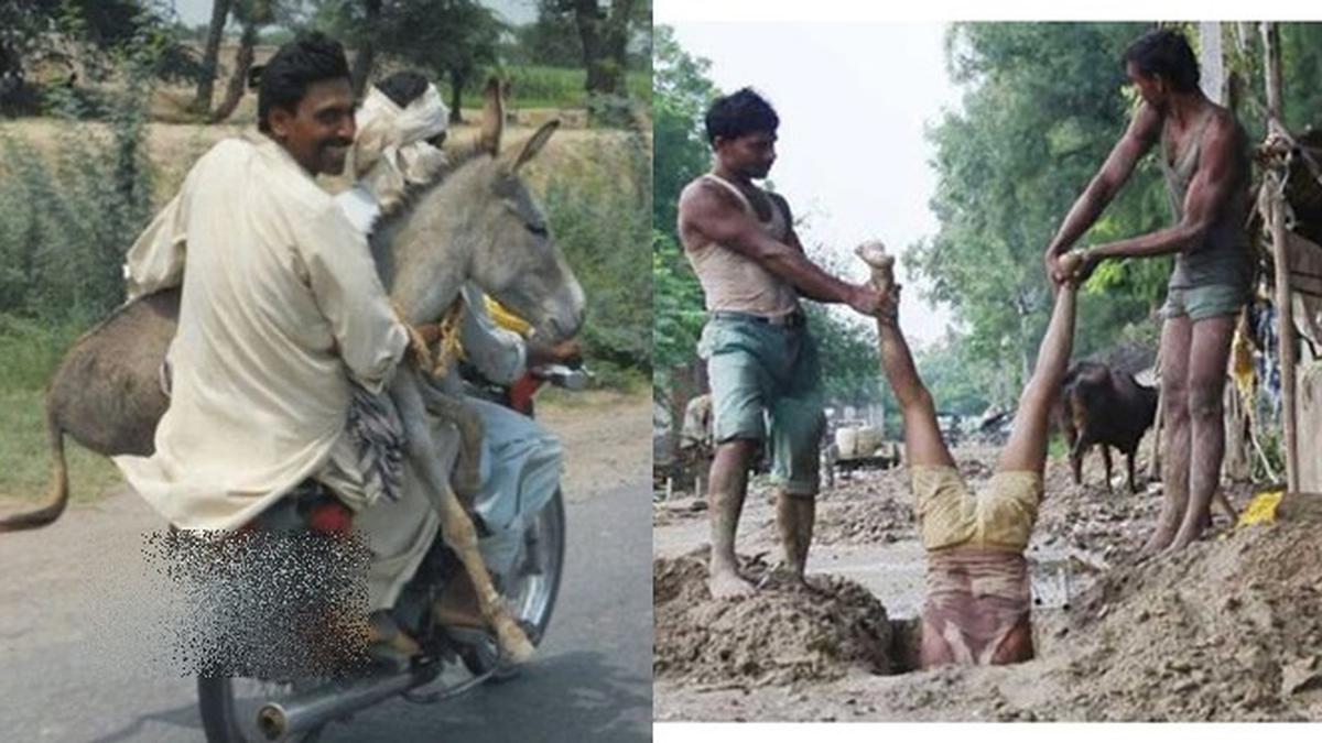 6 Tingkah Gokil Bapak Bapak India Ini Absurd Banget Enggak Habis Pikir Hot 