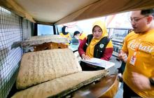 Fakta Unik: Indikator Literasi Situbondo Rendah, Pemkab Gelar Festival Literasi 5 Hari Demi Dongkrak Minat Baca