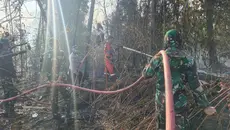 Ratusan Hektare Lahan Masih Terbakar di Sumatra-Kalimantan