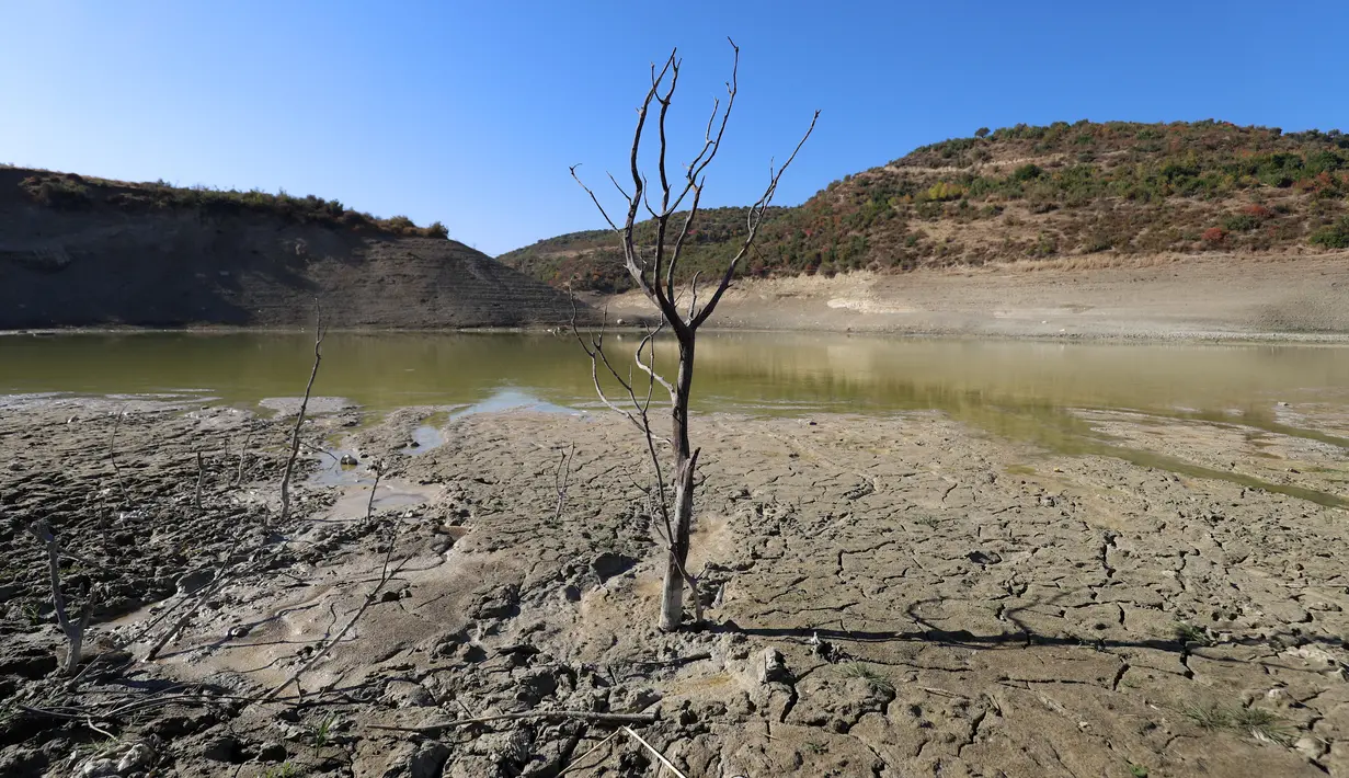 Sebuah gambar menunjukkan kekeringan di bendungan Doueisat (Duwaysat) di luar kota al-Diriyah di provinsi Idlib, barat laut Suriah pada 9 November 2021. Waduk Al-Duwaysat mengering akibat curah hujan yang rendah dan kerusakan struktural, sehingga air yang ditampung habis. (Abdulaziz KETAZ/AFP)