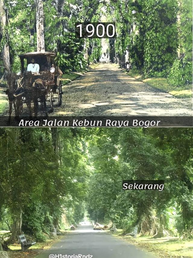9 Potret Perbandingan Suasana Bogor Tempo Dulu dan Sekarang, Kota Hujan yang Selalu Hijau