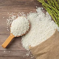 ilustrasi beras dam padi/copyright freepik.com/jcomp