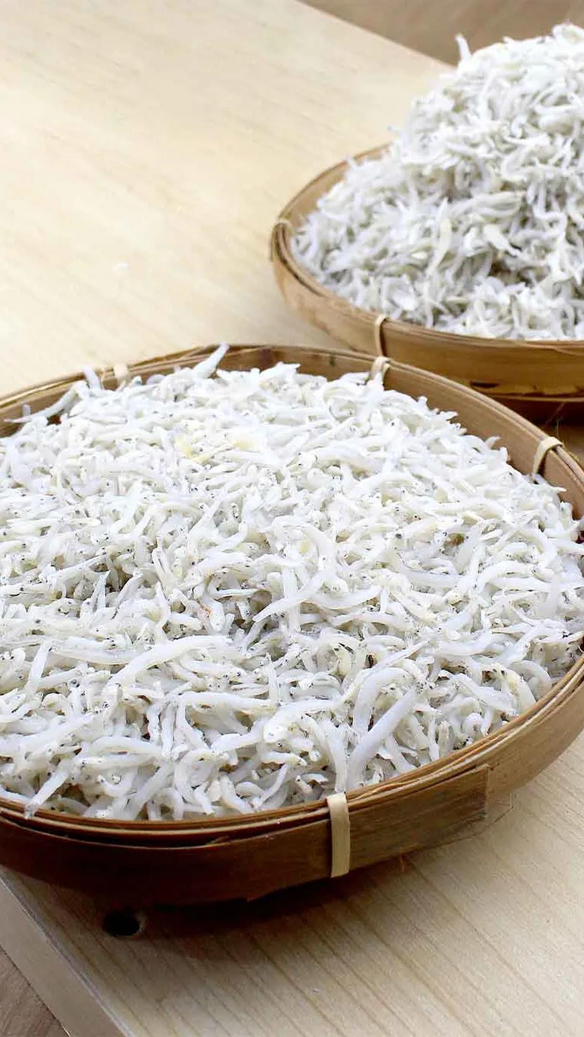 1. Ikan Teri