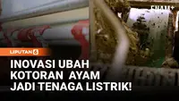 Peternakan Ini Ubah Kotoran Ayam Jadi Tenaga Listrik, Bagaimana Caranya?