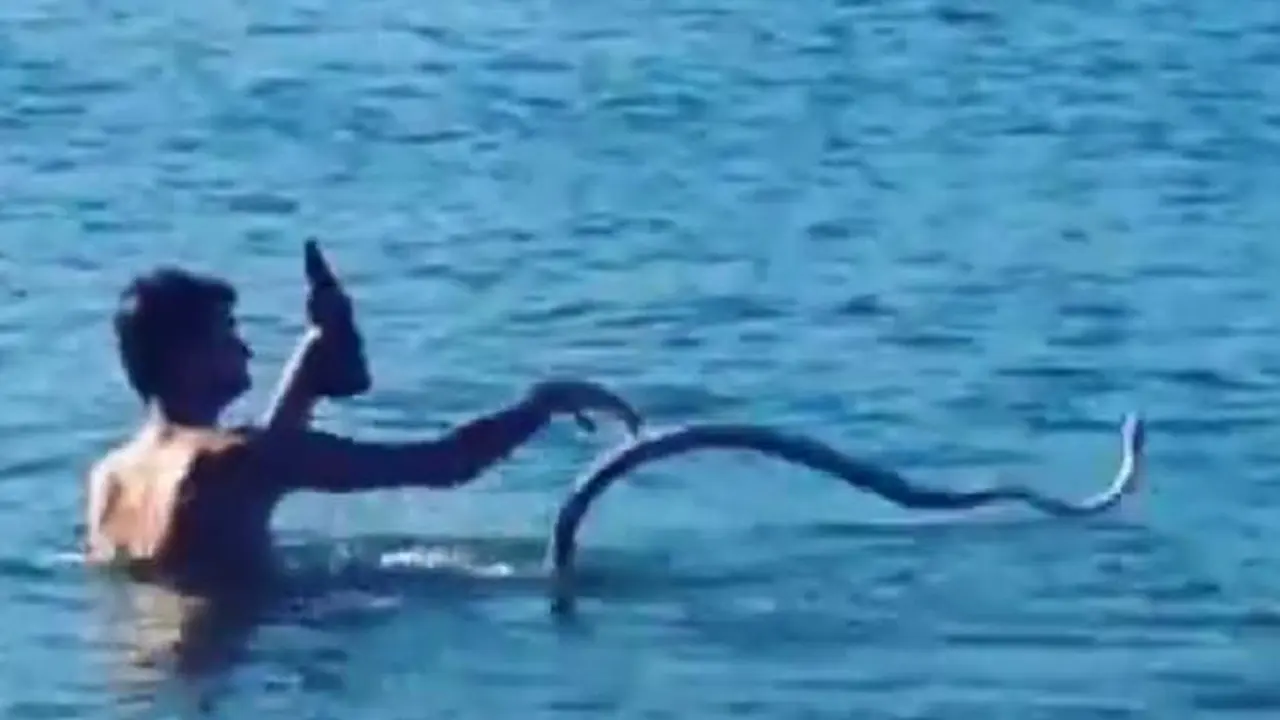 Bersahabat, Pria Ajak Piaraan Ular Berenang