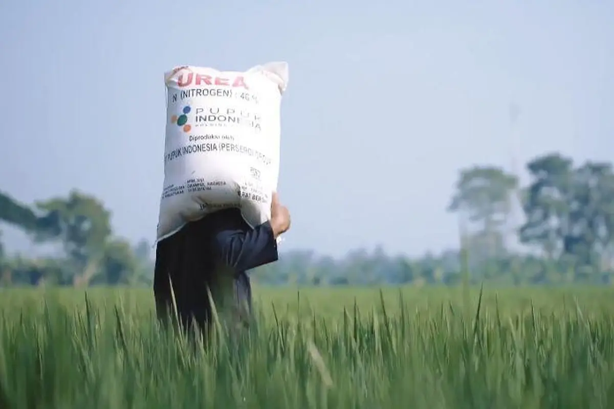 Petani Riau Bisa Semakin Produktif Dengan Tambahan Kuota Pupuk Bersubsidi