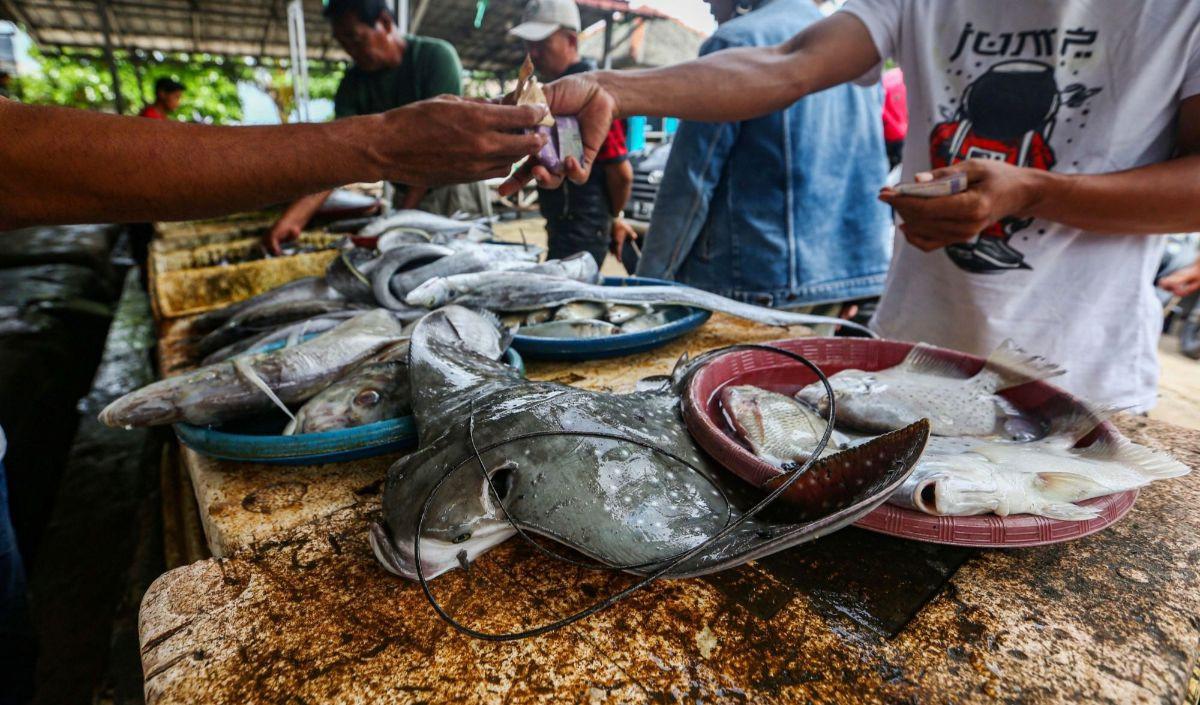 "Stok ikan aman. Kita perkirakan ada peningkatan permintaan 10 persen saat Ramadhan dan 20 persen saat Lebaran,"<br>