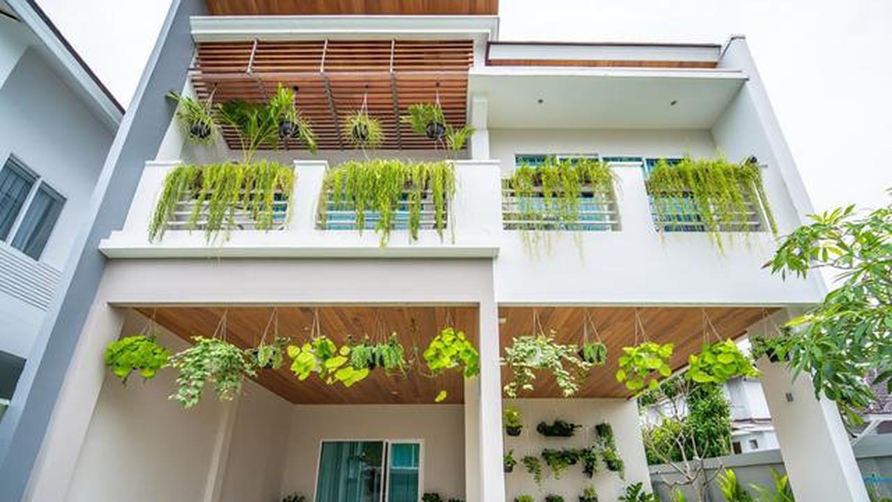 10 Model Tampak Depan Rumah Minimalis Asri dengan Tanaman Rambat, Bikin Hunian Teduh