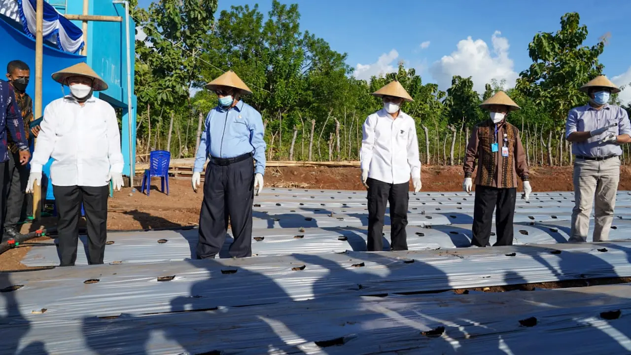 MenkopUKM Dorong Koperasi Simpan Pinjam Lakukan Spin-off Masuk Sektor Produksi