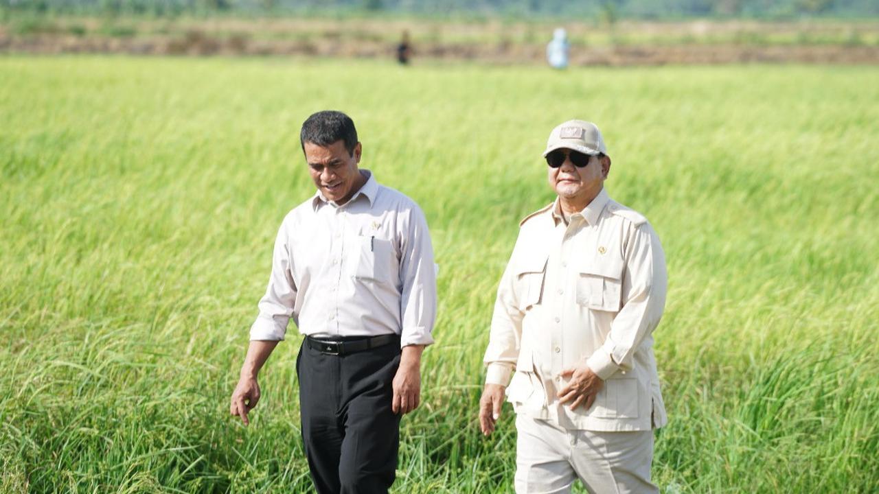 BPS: Sektor Pertanian Tumbuh Signifikan, Penopang Utama Ekonomi Nasional Triwulan II-2025