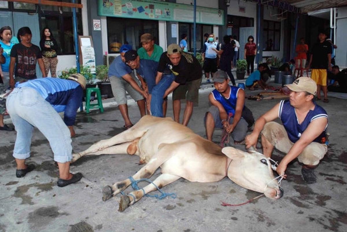Menengok pemotongan hewan kurban di Rutan Pondok Bambu