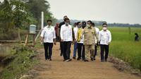 Menteri Pertanian, Syahrul Yasin Limpo (SYL) mendampingi Presiden Joko Widodo meninjau lokasi lahan rawa pengembangan food estate atau lumbung pangan dan saluran primer induk UPT A5 di Kapuas.