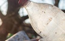 Dampak Membakar Sampah Plastik bagi Lingkungan, Bisa Tingkatkan Pencemaran Udara