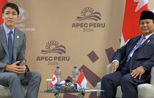 Prabowo Bertemu PM Kanada Justin Trudeau di KTT APEC, Bahas Kerja Sama Perikanan hingga Energi