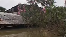 liputan6