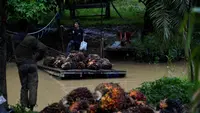 Harga Sawit Turun, Polisi Duga Ada Kartel