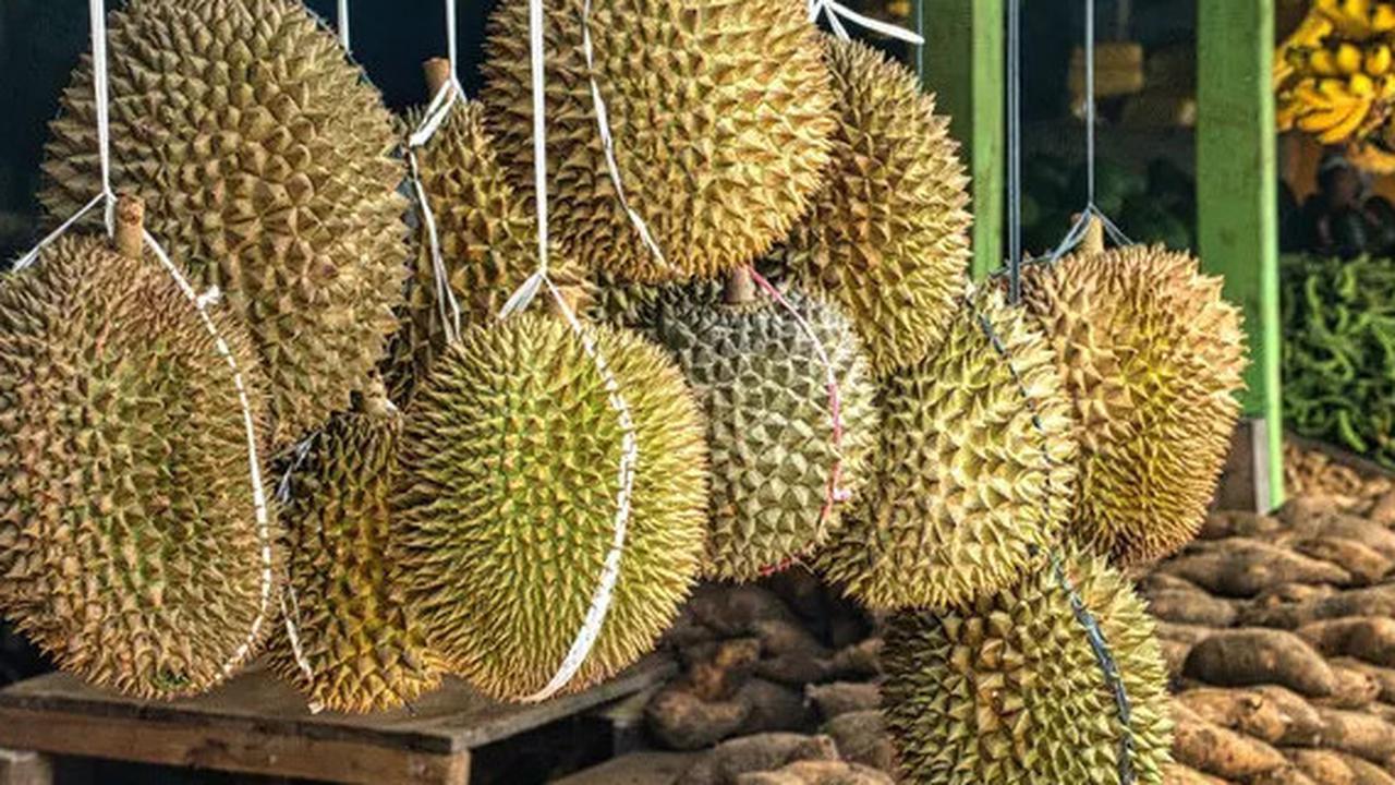 Indonesia Ketiban Untung Setelah 100 Kontainer Durian Asal Thailand Dilarang Masuk ke China