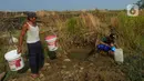 Sudah lebih dari dua bulan ratusan warga di kampung ini mengandalkan sumber air yang mirip kubangan untuk memenuhi kebutuhan sehari-hari dan air minum. (merdeka.com/Arie Basuki)