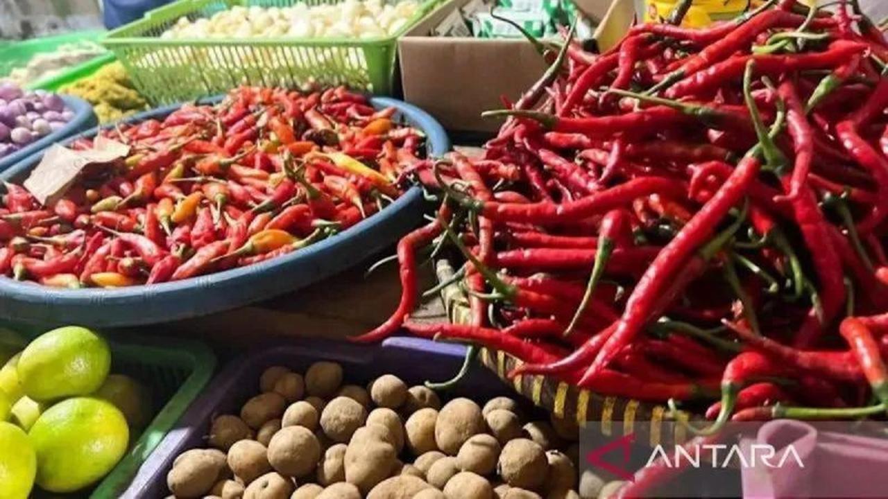 Harga Pangan Turun: Beras Medium & Cabai Rawit Merah Kompak Anjlok, Cek Daftar Lengkapnya!