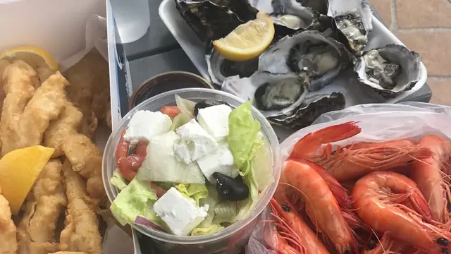 Wisata Menakjubkan Bersama Ikan Paus dan Burung Pelikan di Gold Coast Australia
