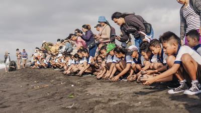 Dari Nelayan ke Konservasi: Aksi Selamatkan Penyu Pantai Biaung