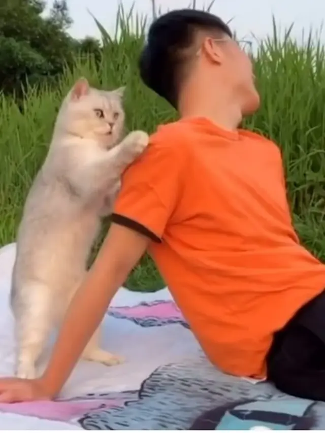 Gemas, Pria Ini Ajak Kucing yang Dianggap Pasangan Traveling Keliling Dunia