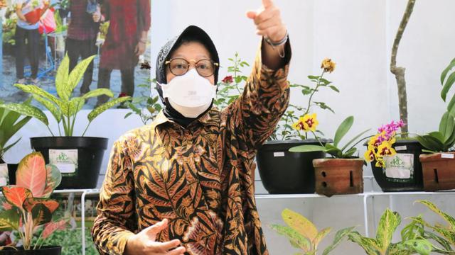 Menteri Sosial Tri Rismaharini