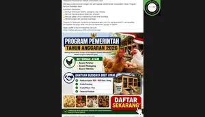 Cek Fakta: Tidak Benar Link Pendaftaran Bantuan Budidaya Ayam 2026
