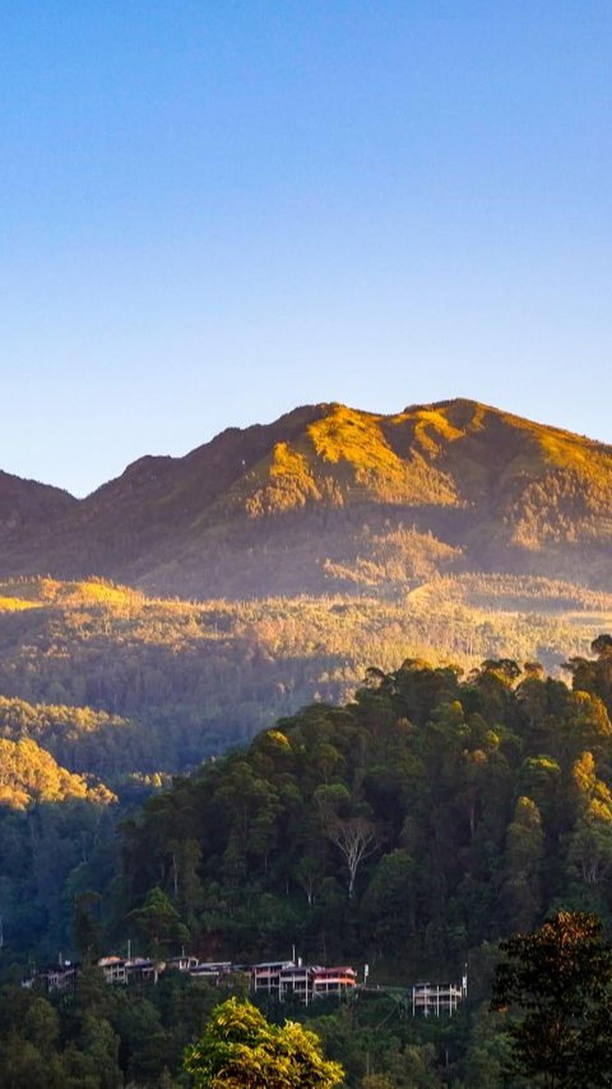 Tak hanya itu, di Gunung Lawu juga ada spot Bulak Peperangan, yaitu lokasi di mana banyak pendaki sering mendengar suara-suara gaduh seperti perang. Saat mendengar suara-suara aneh, para pendaki wajib waspada dan tidak boleh terpencar supaya tidak tersesa