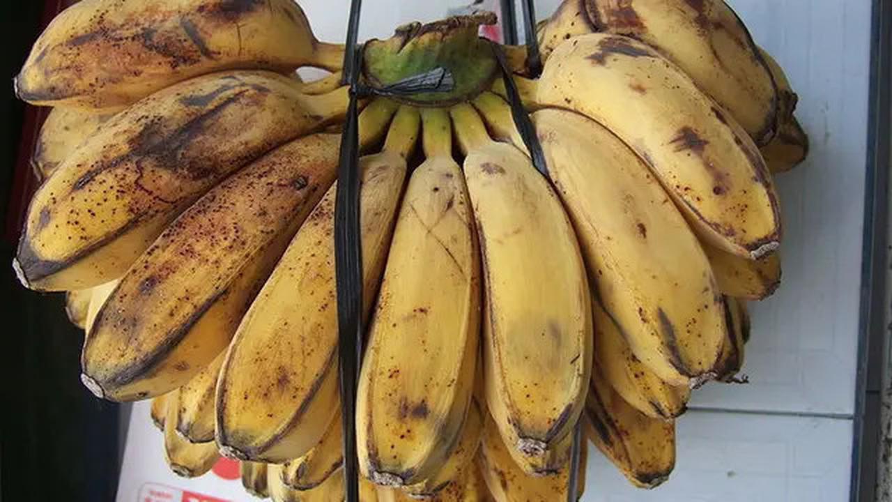 Cara Membuat Pisang Goreng Tetap Renyah Sepanjang Hari dan Tidak Menyerap Minyak Berlebih