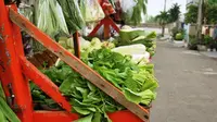 Beritahu mama kamu agar tidak lagi melakukan 6 dosa yang kecil-kecil tapi ngeselin ini pada tukang sayur langganannya.