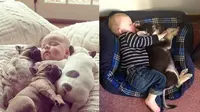Bayi tidur dengan hewan peliharaan (Sumber: Brightside)