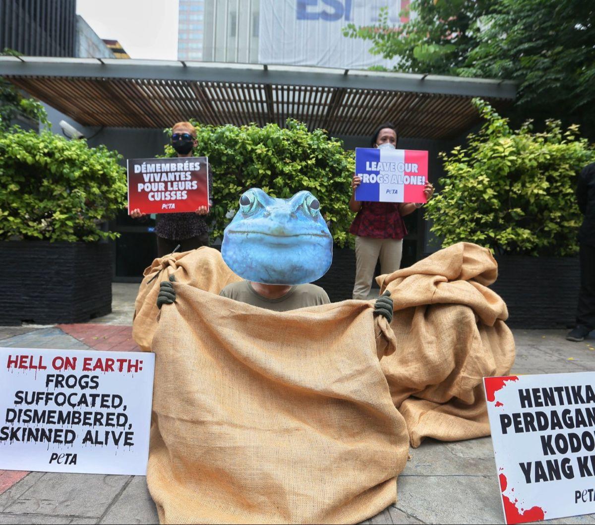 Aktivis People for the Ethical Treatment of Animals (PETA) menggelar&nbsp;aksi protes di depan  Kedutaan Besar Prancis, Jakarta, Selasa (27/2/2024). Dalam aksinya, mereka mendesak pemerintah Prancis untuk menghentikan impor daging kodok untuk konsumsi.&nb