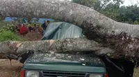 Mobil Keluarga Tertimpa Pohon di Kebun Durian Langkat Sumut, 3 Orang Tewas
