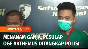 Pesulap jebolan The Master, Oge Arthemus ditetapkan sebagai tersangka penyalahgunaan narkotika, Selasa (29/8) siang. Oge Arthemus bersama rekannya mengaku sudah menanam ganja selama 5 bulan.