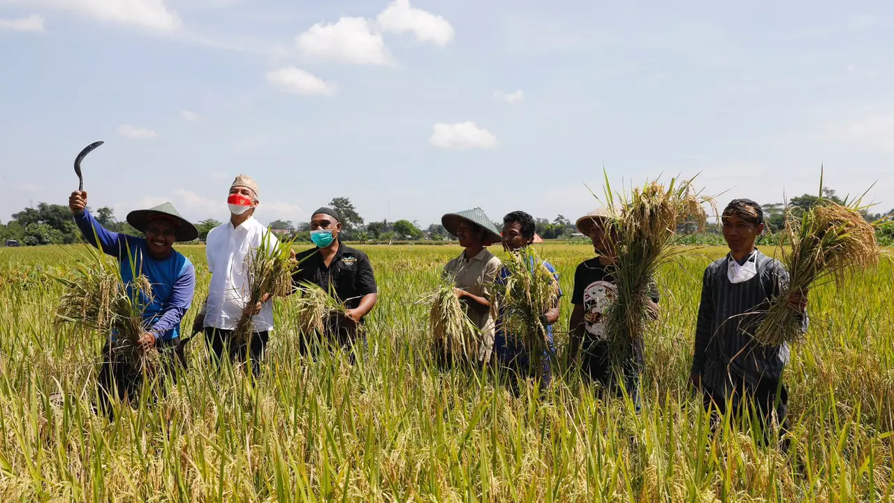 Ganjar Dorong Penyaluran Pupuk Subsidi Tepat Sasaran ke Petani Membutuhkan (Istimewa)