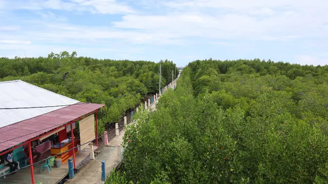 Kawasan hutan mangrove Torosiaje