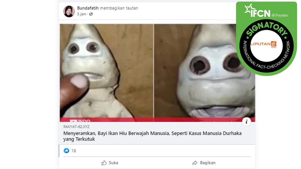 Klaim Bayi Hiu Berwajah Manusia Disebut Anak Durhaka