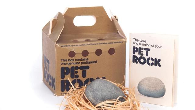 Pet rock, ide jualan batu untuk orang yang ingin punya peliharaan anti-ribet.