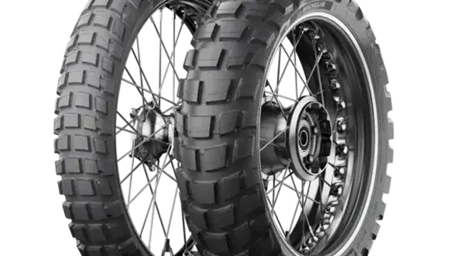 Ban Motor Dual Purpose, Michelin Anakee Wild