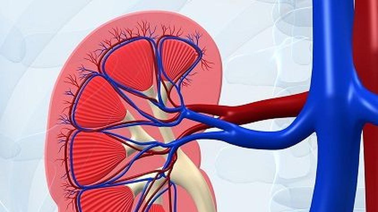 Cerita Dokter Pasiennya Usia 25 Tahun Mendadak Masuk IGD lalu Divonis Gagal Ginjal, Ternyata Sering Minum Pil Diet