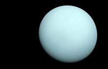 Ilmuwan ungkap Ada Potensi Kehidupan di Uranus